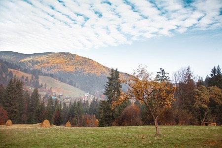 Autumn scenery of the mountain slope on background skyの写真素材