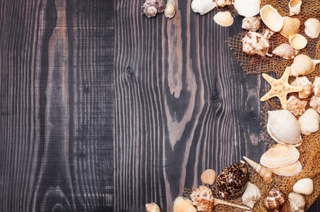 Sea shells on a dark old plank backgroundの写真素材
