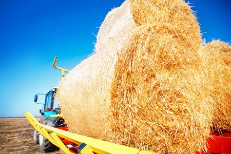 Straw on a trailer from a tractor in a field on a sunny dayの写真素材