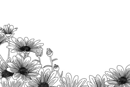 Chamomile hand drawn flowers background, vector flowers illustration. Isolated on a white background.のイラスト素材