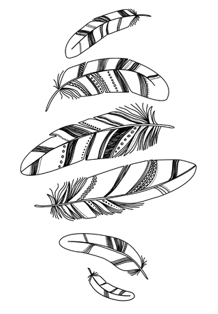 Black decorative feathers, isolated on white background.のイラスト素材