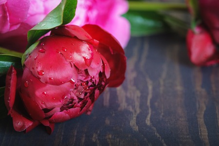 Red and pink peonies on a wooden table. Beautiful floral background with space for text.の写真素材