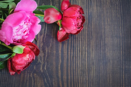 Red and pink peonies on a wooden table. Beautiful floral background with space for text.の写真素材