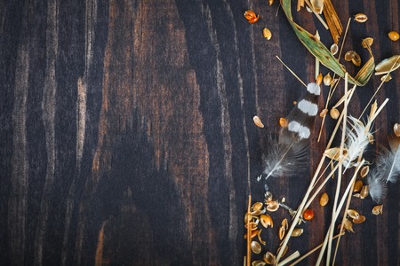 Dark wooden background with hay, feathers and grains millet.の写真素材