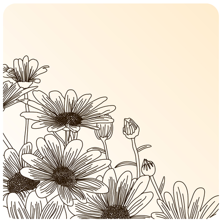 Daisy flowers on a beige background, outline drawing. Vector flowers illustration.のイラスト素材