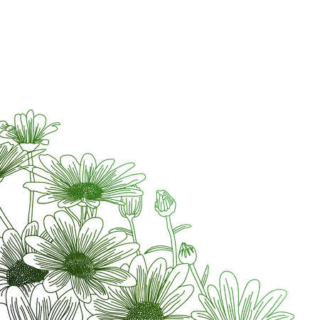 Daisy flowers on a green background, outline drawing. Vector flowers illustration.のイラスト素材