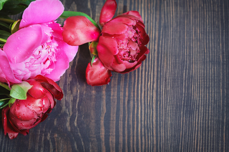 Red and pink peonies on a wooden table. Beautiful floral background with space for text.の写真素材