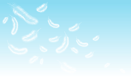 Delicate blue background with white bird feathers.のイラスト素材