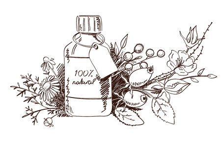 Design with hand drawn herbs and beauty product illustration isolated on white.のイラスト素材
