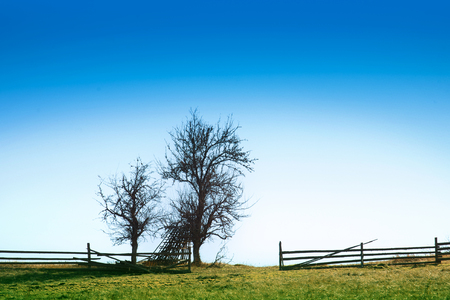 Trees silhouette in a natural mountain landscape with blue sky on a background.の写真素材