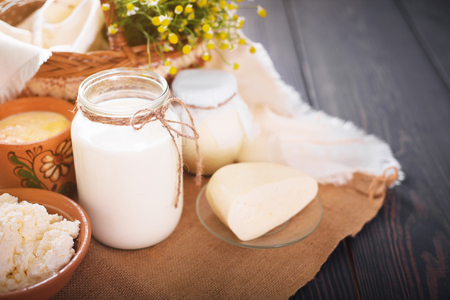 Assorted dairy products milk, yogurt, cottage cheese, sour cream. Rustic still life. Farmer's cow dairy products.の写真素材