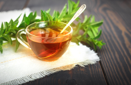 Cup of mint tea and a bunch of mint on the table. Beautiful still life with herbal tea.の写真素材