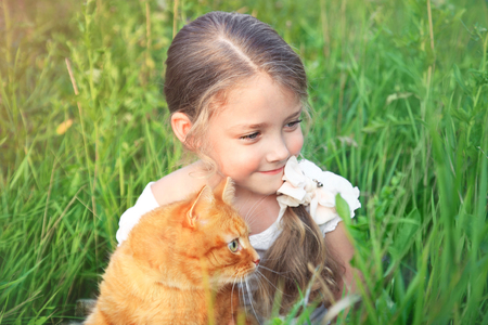 Cute little girl is holding a red cat in nature sitting in the grass.の写真素材
