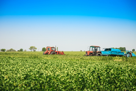 Agricultural machines in a soy field in a bright sunny summer day.の写真素材