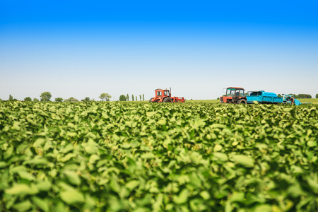Agricultural machines in a soy field in a bright sunny summer day.の写真素材
