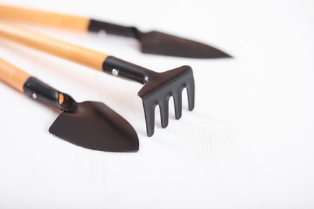 Tool kit for indoor plants, on a white background.の写真素材