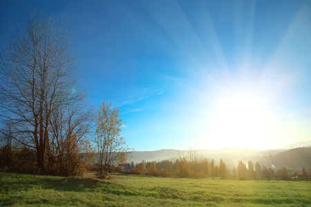 Autumn scenery of the mountain slope on a blue sky backgroundの写真素材
