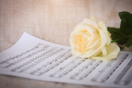 Delicate background with white rose and musical notes. Vintage style.の写真素材