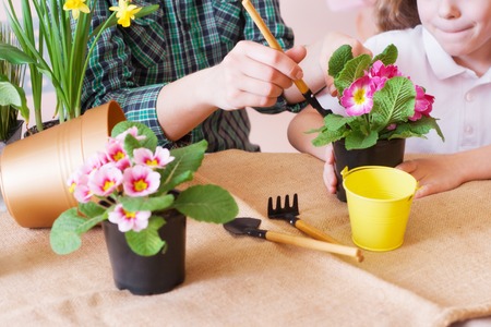 Cute child girl helps her mother to care for plants. Happy family on a studio. Close up.の写真素材