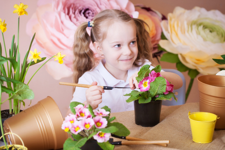 Little girl caring for flowers in a flowerpot. Studio photo.の写真素材