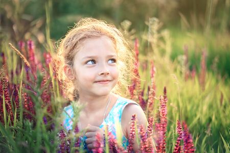 Little girl on nature in summer in a field with a bouquet of flowers in her hands. Sunset lighting.の写真素材