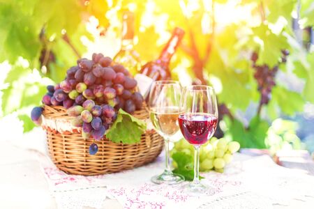 Red and white wine in glasses in the summer against a background of ripe juicy grapes.の写真素材