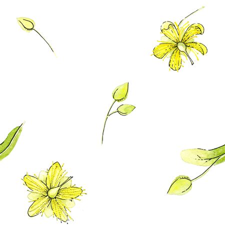 Seamless watercolor pattern of yellow linden flowers on a white background.の写真素材
