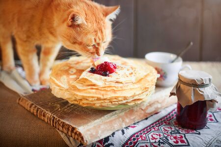Home red cat eats crepes or pancakes with cream on the kitchen table. No people.の写真素材