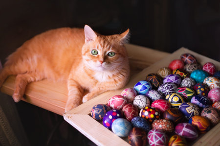 Home red cat and easter eggs on the table. Easter holiday.