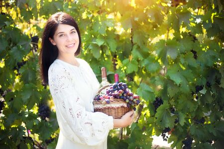Young woman with a basket of grapes and bottles of wine at the vineyard.の写真素材