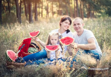 Family on a summer picnic. Watermelon and fruits, fun holidays.の写真素材