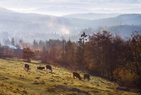 Beautiful picturesque landscape of a mountain village in the fall. Autumn in the mountains.の写真素材