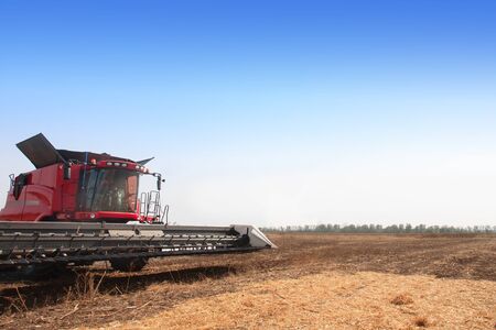 Harvester farming in the field. Harvesting machines. Field on a bright sunny day. The concept of work in a fields and agriculture industry.の写真素材