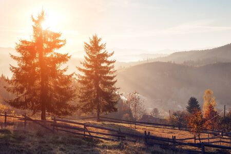 Gorgeous autumn landscape in the mountains before sunset.の写真素材
