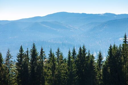 Picturesque mountain panoramic landscape with fir trees and mountain tops on a clear day.の写真素材