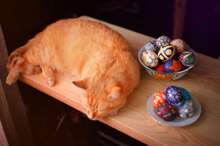 Home red cat and easter eggs on the table.の写真素材