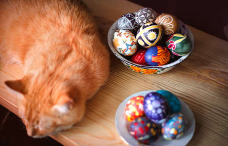 Home red cat and easter eggs on the table.の写真素材