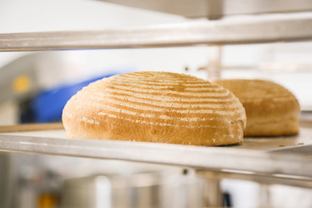 Two baked golden loaves of bread lie on a tray in a bakery