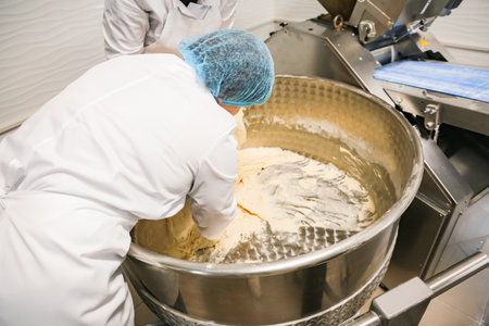 Women knead dough in a bakery. Real production.の写真素材