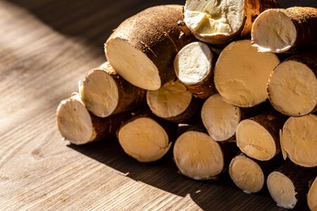Cassava, also called manioc, yuca, balinghoy, mogo, mandioca, kamoteng kahoy, tapioca and manioc root, a woody shrub of the Euphorbiaceae family native to South Americaの写真素材