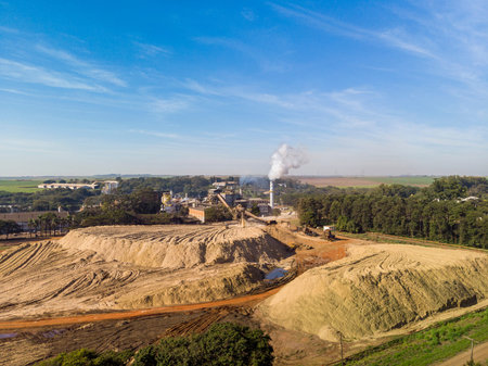 Sugar cane industry in Brazil,