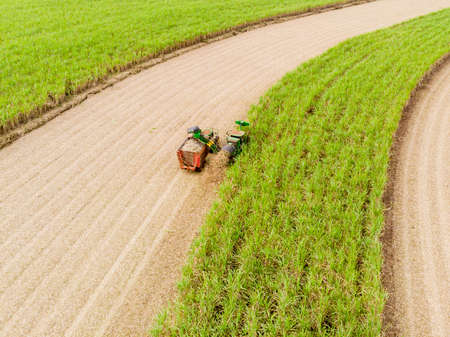 Aerial sugarcane field in Brazil. Tractor working, agribusiness.のeditorial素材