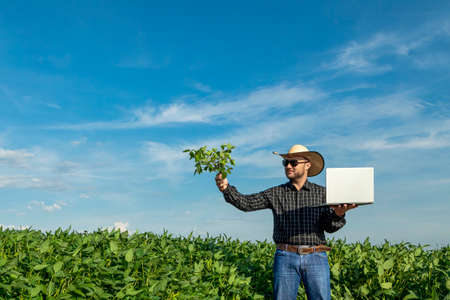 Young agronomist in hat holding notebook in soybean field.の写真素材