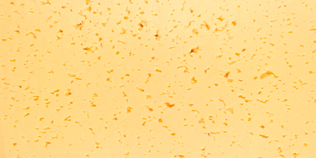 The texture of fresh cheese cut in half.の写真素材