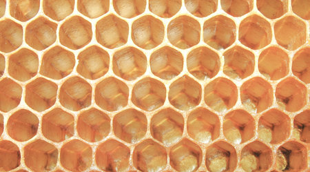 Empty honeycombs, texture.