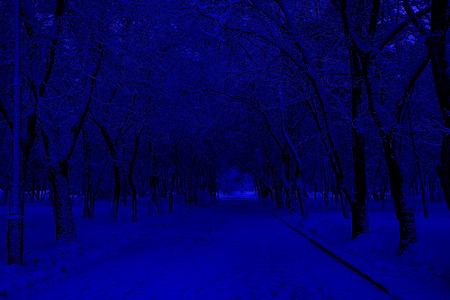 Night winter park. Winter city landscape.の写真素材