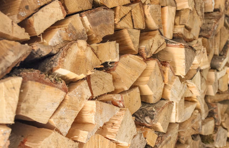Chopped and sawn firewood stacked in a row.