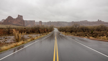 UTAH - FEBRUARY 2019 Arches National Park- Empty wet asphalt country roadway running through autumn...