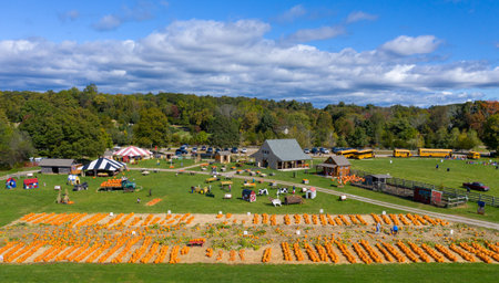 Rural harvest fair with pumpkins