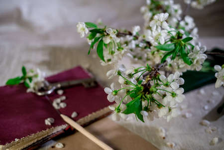 Clever thoughts from the book can be written on a paper can be a key to knowledgeの写真素材